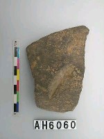 藏品(黑色細砂陶片)的圖片